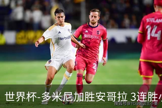 世界杯-多米尼加胜安哥拉 3连胜小组第一晋级