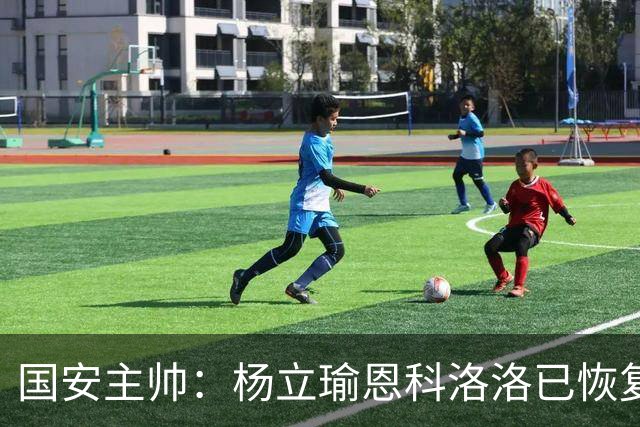 国安主帅：杨立瑜恩科洛洛已恢复 球队有很多要提升的地方